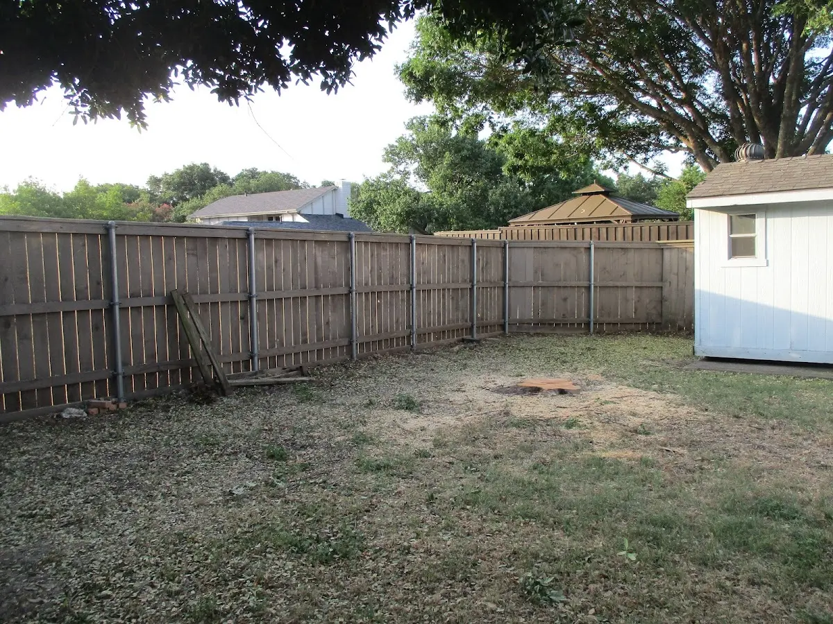 Cleared yard after professional tree removal in Langley